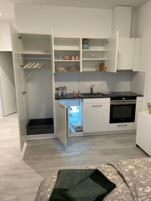 Studio In Neuem Efh Elsau Екстериор снимка